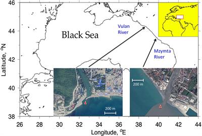 Are Periodic Oscillations of Sea Surface Height Inherent to River Plumes?